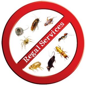 whatsapp image 2025 12 14 at 3.33.31 pm (1)